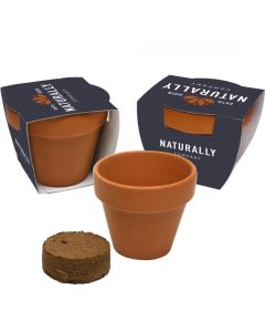 Flowermix Terracotta Blumensamen