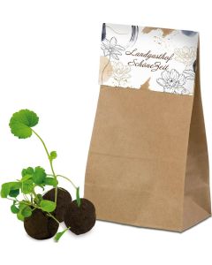 Flower-Balls in Tüte mit Samen - 3 in der Tüte  - inkl. Werbedruck