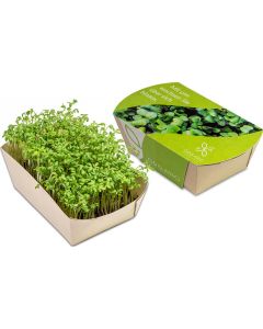 Microgreens-Gärtchen - Samen nach Wahl - inkl. Werbedruck