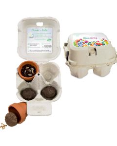 Das Grüne vom Ei - Green-Mix Box - inkl. Werbedruck