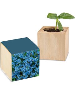 Pflanz-Holz - Samen nach Wahl - inkl. Werbedruck