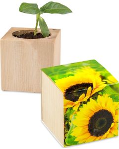 Pflanz-Holz - Standardmotiv - inkl. Lasergravur