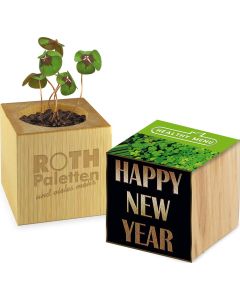 Pflanz-Holz - Samen nach Wahl