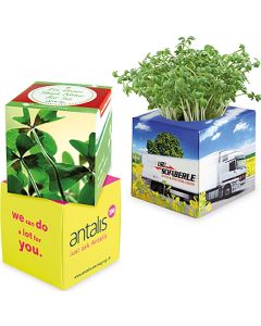 Pflanz-Würfel 2.0 - Samen nach Wahl - inkl. Werbedruck