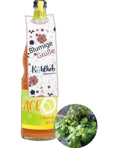 Samenpapier Flaschenanhänger - Samen nach Wahl - inkl. Werbedruck