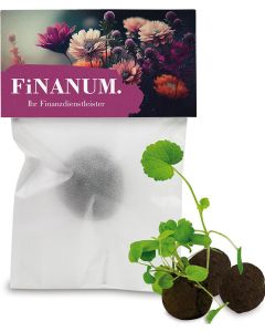 Flower-Balls im Pergamintütchen - 1 Stück - inkl. Werbedruck