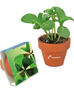 Logo-Topf - Samen nach Wahl - inkl. Werbedruck