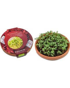 Vitamin-Schale - Samen nach Wahl - inkl. Werbedruck