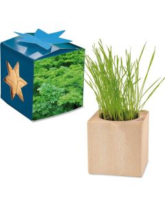 Pflanz-Holz Maxi Star-Box - Samen nach Wahl - inkl. Werbedruck