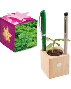 Pflanz-Holz Büro Star-Box - Samen nach Wahl - inkl. Werbedruck
