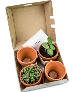 Pflanzen-Mix Winter-Set - inkl. Werbedruck