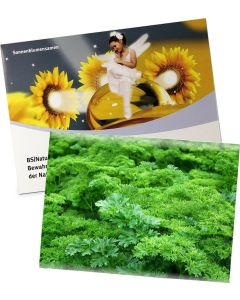 Samentütchen Groß - Samen nach Wahl - inkl. Werbedruck