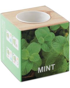 Kräuterpflanz-Set Minze