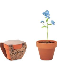 Terracotta-Topf mit Blumensamen