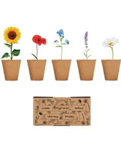 Saat-Set Sommerblumen