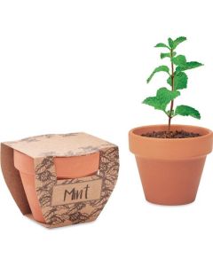 Terrakotta-Topf Minze oder Kresse