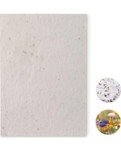 DIN A5 Wildblumen-Samenpapier