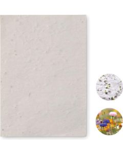DIN A6 Wildblumen-Samenpapier