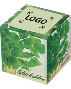 Würfel Wachstum - Samen nach Wahl - inkl. 1-4 c Logo-Digitaldruck