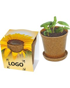 Easy Wachstums-Topf Sonne - Zwergsonnenblume - inkl. 1-4 c Logo-Digitaldruck
