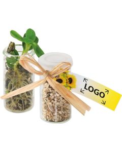 Mini-Glasshouse - Samen nach Wahl - inkl. 1-4 c Logo-Digitaldruck