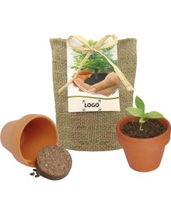 Pflanze Deinen Baum kleines Natur-Säckchen, Robinie - inkl. 1-4 c Logo-Digitaldruck