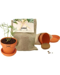 Natur - Säckchen Pflanze deinen Baum, Fichte - inkl. 1-4 c Logo-Digitaldruck