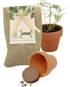 Kleines Natur - Säckchen Pflanze deinen Baum, Fichte - inkl. 1-4 c Logo-Digitaldruck