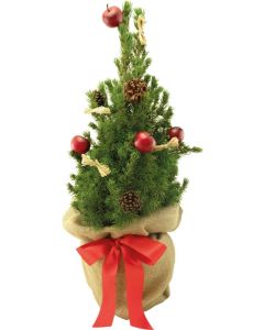 Classic-Bäumchen 35-45 cm