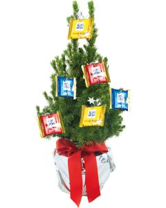 Sport-Bäumchen 35-45 cm