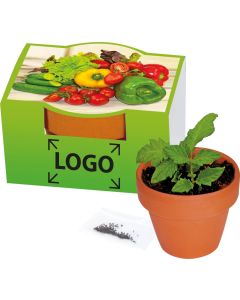 Naschgemüse-Töpfchen - Samen nach Wahl - inkl. 1-4 c Logo-Digitaldruck