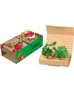 Naschgemüse Duo - Cocktail Tomate und Paprika - inkl. 1-4 c Logo-Digitaldruck