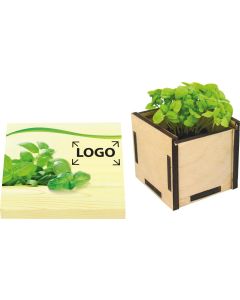 Pflanzsteckbox für den Briefversand - Samen nach Wahl - inkl. 1-4 c Logo-Digitaldruck