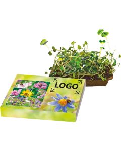 Bienenfreude - Bienenwiesen-Mischung - inkl. 1-4 c Logo-Digitaldruck