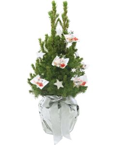 Kristall-Bäumchen 35-45 cm