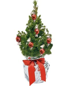 Schokotraum-Bäumchen