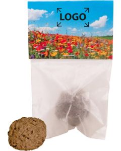 Wonder Ball Single - inkl. Digitaldruck