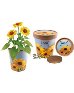 Sonnige Grüße - inkl. Digitaldruck