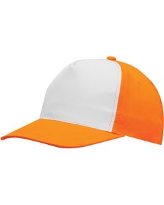 5-Panel-Cap Shiny