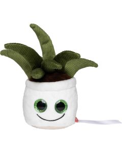 Schmoozies Evergreenies Aloe Vera