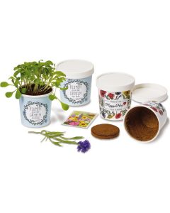 BecherBlümchen Pflanzset - inkl. Werbedruck