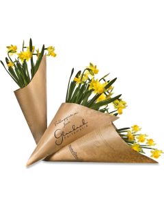 Wundertüte Narzisse - Pflanze in der Spitztüte - inkl. Werbedruck