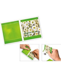 Samentüten Coupon M - inkl. Werbedruck