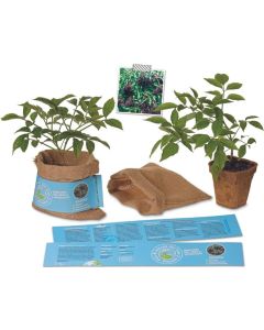 Schenk der Erde eine Pflanze - Holunder - inkl. Werbedruck