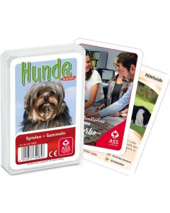 Kartenspiel Quartett Sonderquartett, 33 Blatt, im Kunststoffetui - inkl. Druck