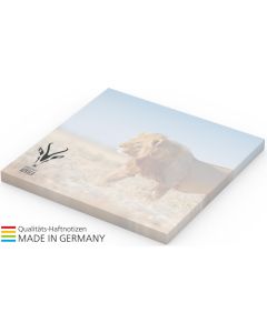 Haftnotiz Basic 72 x 72 mm