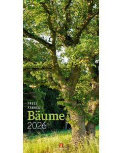 Kalender Bäume 2025