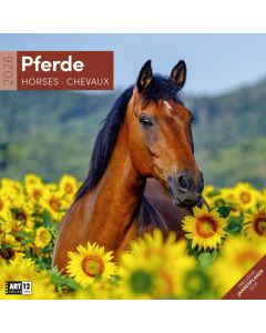 Kalender Pferde 2025 - 30x30