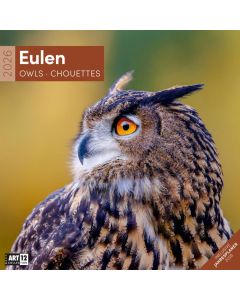 Kalender Eulen 2025 - 30x30