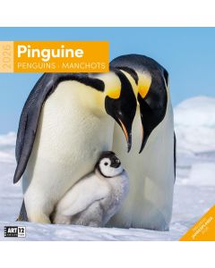 Kalender Pinguine 2025 - 30x30